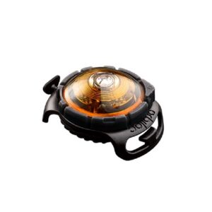 Orbiloc koera led tuluke dual kollane