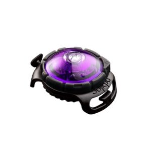 Orbiloc koera led tuluke dual lilla