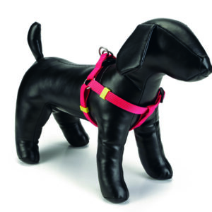 Beeztees traksid nailon seljakinnitus 26-40x10mm roosa #