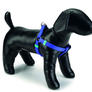 Beeztees traksid nailon seljakinnitus 35-60x15mm sinine #