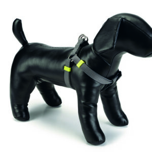 Beeztees traksid nailon seljakinnitus 46-75x20mm thall #