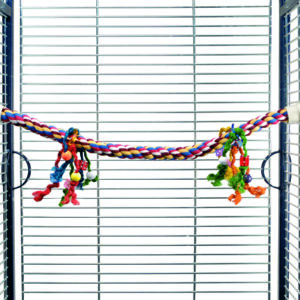 Beeztees lindude köis perch puuvillane xl 3x80cm #