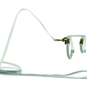 Beeztees kassi traksid virante 27-45cmx10mm münt #