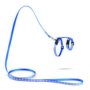 Beeztees kassipoja traksid hearts 120x10cm sinine