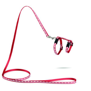 Beeztees kassipoja traksid hearts 120x10cm punane