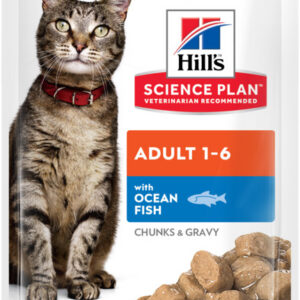 Hills kassi einekotike ookeanikala 85g n1