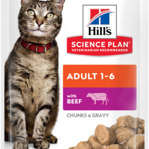 Hills kassi einekotike veis 85g n1