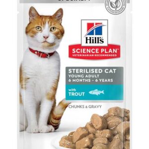 Hills kassi einekotike young steril.forell 85g n1