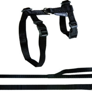 Flamingo kassi traksid ja rihm suurtele kassidele must