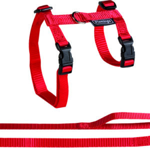 Flamingo kassi traksid ja rihm suurtele kassidele punane