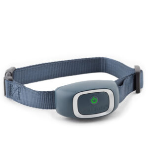 Petsafe haukumisvastane kaelarihm staat.stimulats.15 astet