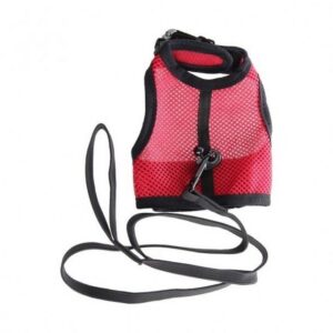 Beeztees kassi traksid+jalutusrihm comfort