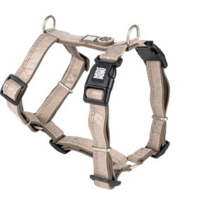 Max&molly koera traksid matrix 2.0 l beez #