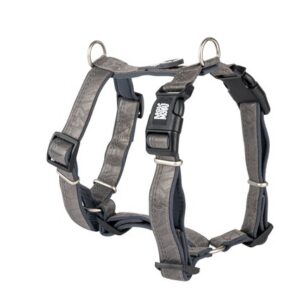 Max&molly koera traksid matrix 2.0 l hall #