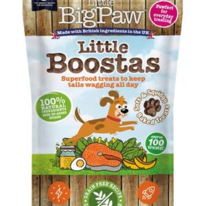 Little bigpaw koera maius superfood lõhe 90g n1