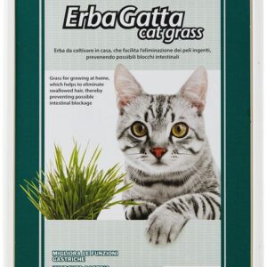 Pd kassimuru erbagatta #