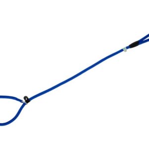 Freedog sinine kaelarihm-jalutusrihm koerale 10mm x 120cm