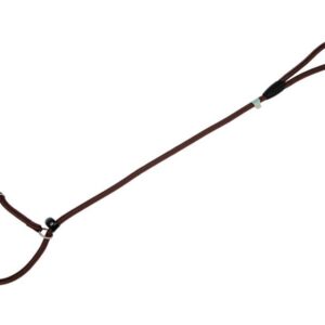 Freedog pruun kaelarihm-jalutusrihm koerale 13mm x 120cm