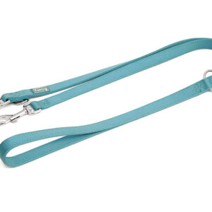 Freedog türkiissinine nailonist treeningrihm koerale 2x200cm