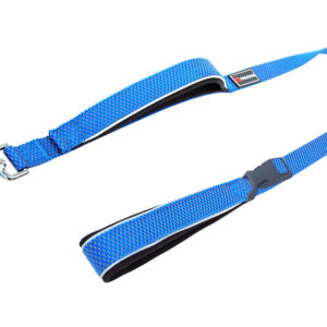 Freedog Extreme nailonist sinine jalutusrihm koerale 20mm x 180cm