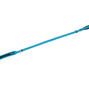 Freedog Boreal kaprisinine jalutusrihm koerale 20mm x 120-180cm