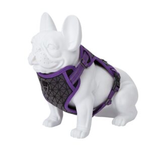 Freedog Boreal sirelilillad traksid koerale 20mm 38-75cm