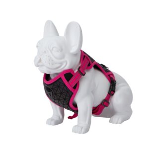 Freedog Boreal fuksiaroosad traksid koerale 25mm 45-90cm