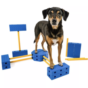 Fitpaws FitKinect Xtra