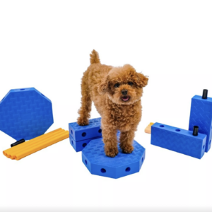 Fitpaws FitKinect Core